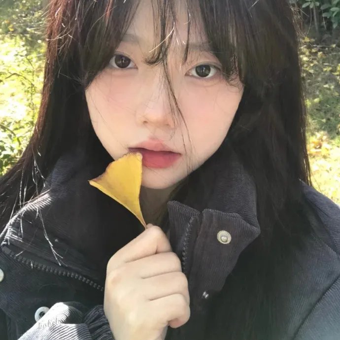 爱情碰碰撞